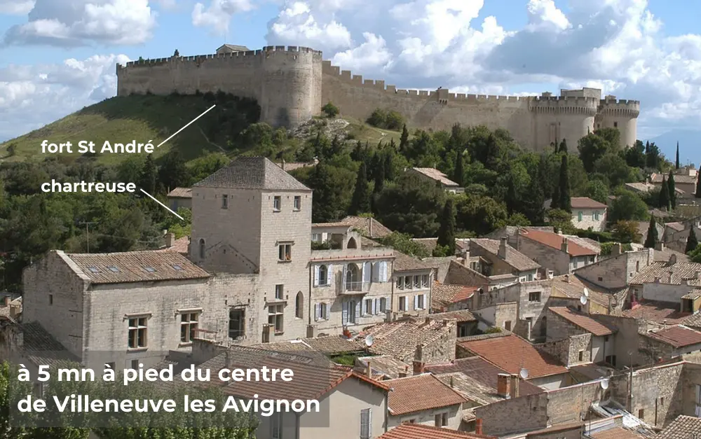 photo de Villeneuve les Avignon, le fort Saint André et la chartreuse de Villeneuve