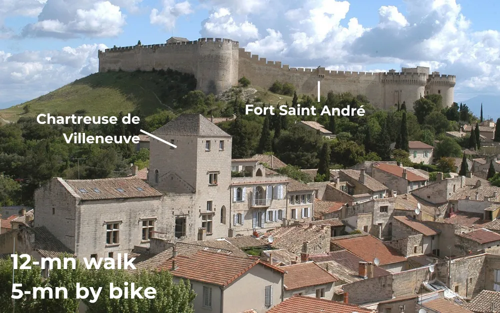 photo of Villeneuve-lès-Avignon, the Philippe le Bel Tower, and the Rhône River