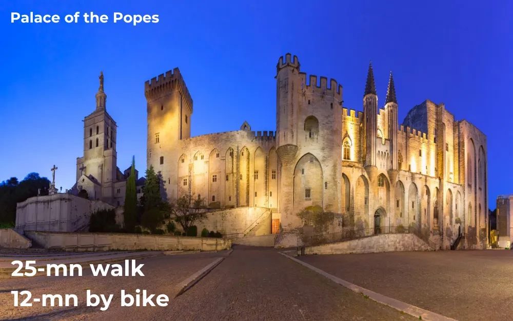  photo of the Palace of the Popes at night